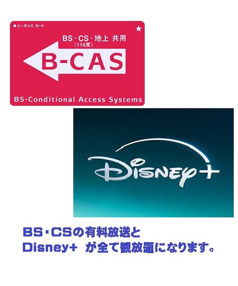 B-CASカードfreeとDisney+見放題Free権