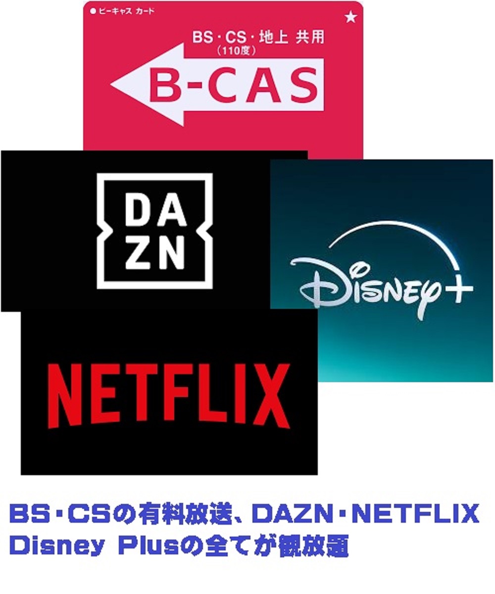 B-CASカード・NETFLIX・DAZON・Disney+ALLセット